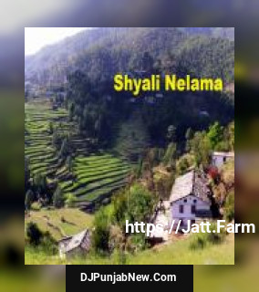 Shyali Nelama album songs download mp3 djpunjab