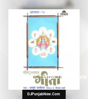 Shreemad Bhagwat Geeta - Vol. 13 album songs download mp3 djpunjab