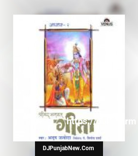 Shreemad Bhagwat Geeta - Vol. 2 album songs download mp3 djpunjab