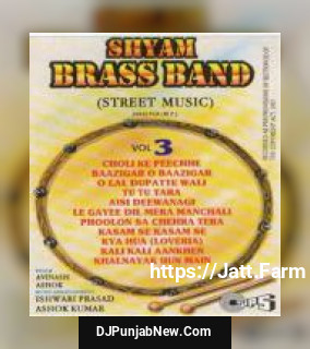 Shyam Brass Band Street Music album songs download mp3 djpunjab