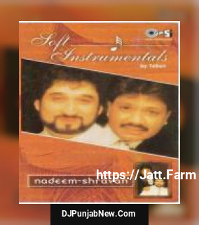 Soft Instrumentals Nadeem-Shravan album songs download mp3 djpunjab