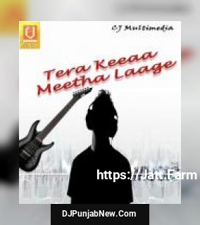 Tera Keeaa Meetha Laage album songs download mp3 djpunjab