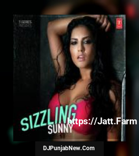 Sizzling Sunny album songs download mp3 djpunjab