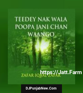 Teedey Nak Wala Poopa Jani Chan Waango album songs download mp3 djpunjab