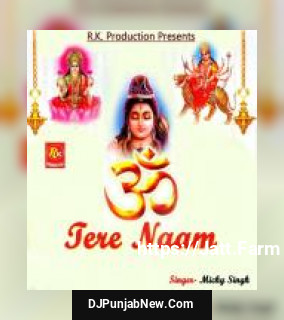 Tere Naam album songs download mp3 djpunjab