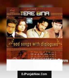 Tere Bina album songs download mp3 djpunjab