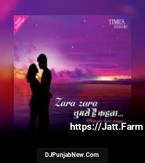 Zara Zara - Tumse Hain Kehna album songs download mp3 djpunjab