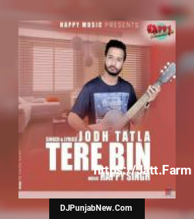 Tere Bin album songs download mp3 djpunjab