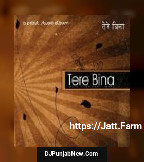 Tere Bina album songs download mp3 djpunjab