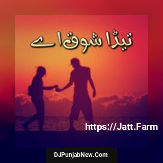 Teda Shauq Aye album songs download mp3 djpunjab