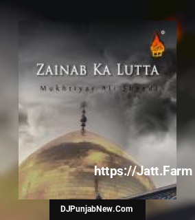 Zainab Ka Lutta album songs download mp3 djpunjab