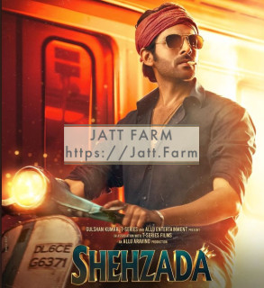 Shehzada album songs download mp3 djpunjab