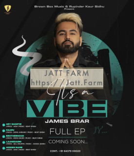 Its A Vibe album songs download mp3 djpunjab