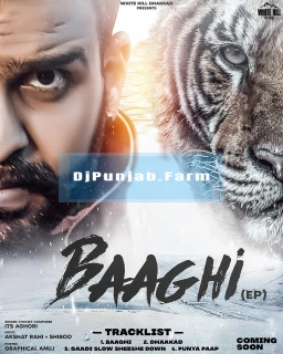 Baaghi album songs download mp3 djpunjab