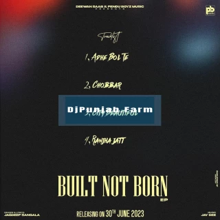 Built Not Born album songs download mp3 djpunjab