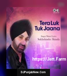 Tera Luk Tuk Jaana album songs download mp3 djpunjab